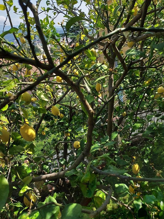 Apartment Profumo Di Limone Con Giardino Albissola Marina