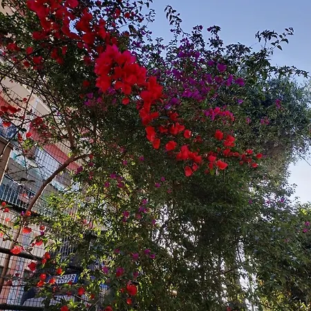 Profumo Di Limone Appartamento Con Giardino Albissola Marina Exterior foto