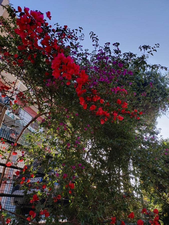Apartment Profumo Di Limone Con Giardino