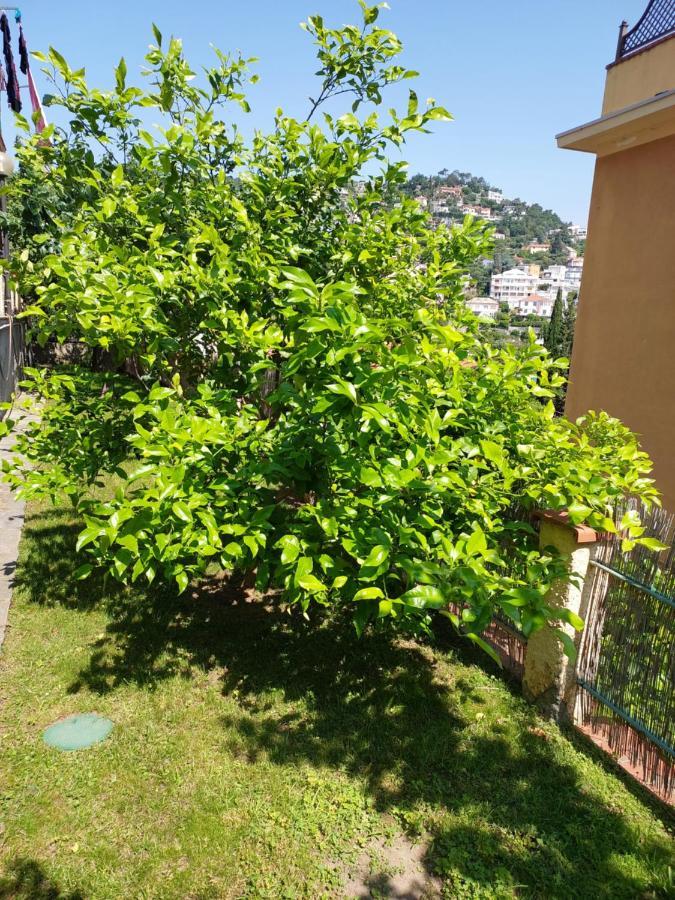 Apartment Profumo Di Limone Con Giardino *