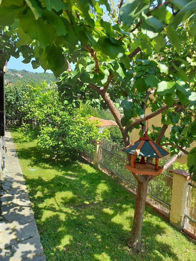 Apartment Profumo Di Limone Con Giardino *